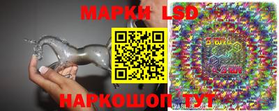 гашик Можга
