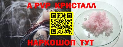 гашик Можга