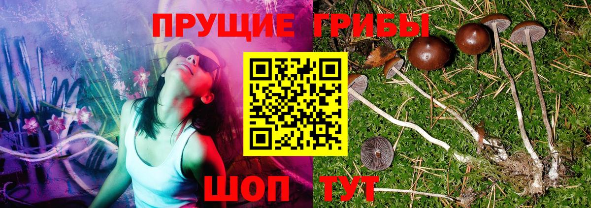Псилоцибиновые грибы мухоморы Чапаевск