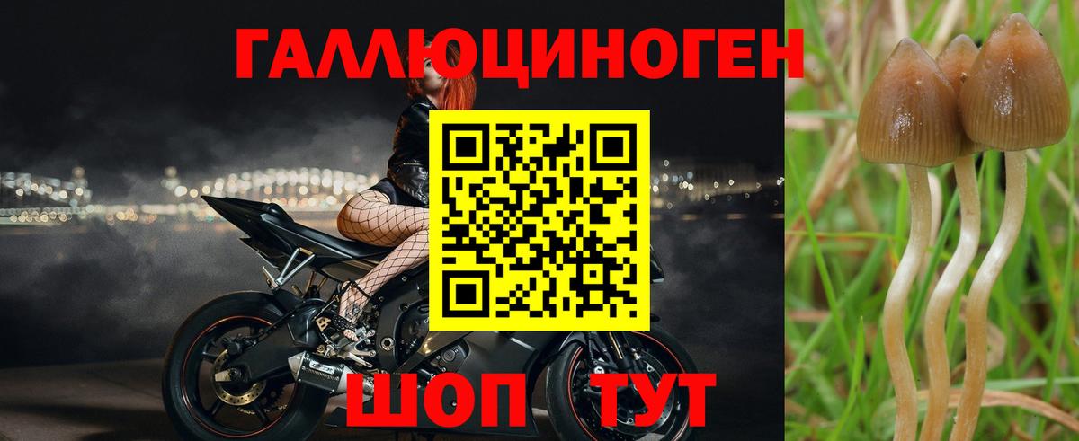 Псилоцибиновые грибы ЛСД  купить   Чапаевск  Вход с VPN  Псилоцибиновые грибы ЛСД 